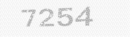 Visual security code — type the characters shown in the image